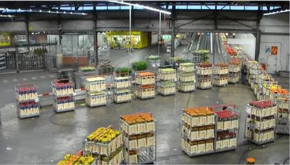 新農村 新征程 新發(fā)展|如何推動農產品物流與供應鏈的變革?